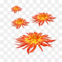 Blog Lofter��Ӱ-���ȡ����ȣ�2�㣬��㣬ŷ�ޣ���0.5-������