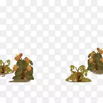 食用树人形树-空若网 食用树人形树-空若网