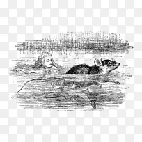 爱丽丝在仙境中的冒险-爱丽丝梦游仙境综合症童话故事中的芥菜-爱丽丝在仙境的图画-空若网 爱丽丝在仙境中的冒险-爱丽丝梦游仙境综合症童话故事中的芥菜-爱丽丝在仙境的图画-空若网