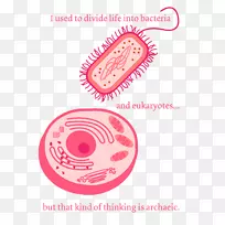 双关科学细菌微生物科学-空若网 双关科学细菌微生物科学-空若网