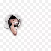 ��ָ���-������