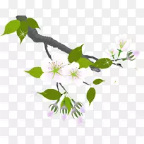 梅花花枝墙纸-梅花-空若网 梅花花枝墙纸-梅花-空若网