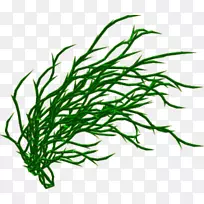 博客剪贴画-空若网 博客剪贴画-空若网