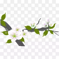 梅花-空若网 梅花-空若网