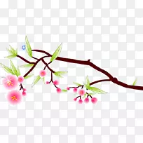 花花瓣-梅花-空若网 花花瓣-梅花-空若网