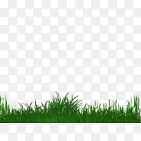 ²Ýƺ²ÝÔÌì¿Õplc-¿ÕÈôÍø ²Ýƺ²ÝÔÌì¿Õplc-¿ÕÈôÍø