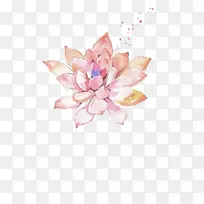 水彩画肉质植物插图-莲花-空若网 水彩画肉质植物插图-莲花-空若网