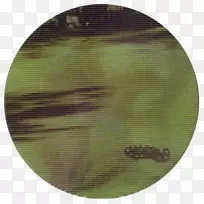 ÂÌÉ«¹û½´-¿ÕÈôÍø ÂÌÉ«¹û½´-¿ÕÈôÍø