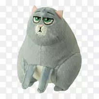 ���룬���ӣ���ë��-���͹���-������