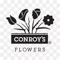 花封装后记花-花-空若网 花封装后记花-花-空若网