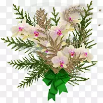 ������ƻ����л�õ�廨-������