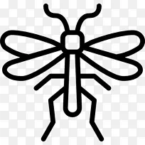 昆虫害虫节肢动物剪贴画-昆虫-空若网 昆虫害虫节肢动物剪贴画-昆虫-空若网