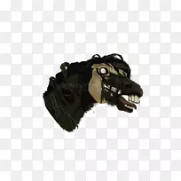 暴龙-空若网 暴龙-空若网