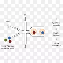 品牌耳线设计-空若网 品牌耳线设计-空若网
