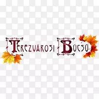 �̱������ֽƷ�Ƶ�������-����-������