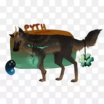 犬科马犬动物鼻子-马-空若网 犬科马犬动物鼻子-马-空若网