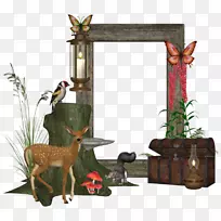 驯鹿动物野生动物驯鹿-空若网 驯鹿动物野生动物驯鹿-空若网