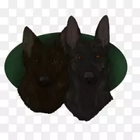 ѩ�տ�Ȯ��ֳ����ëƤ-��������Ȯ-������