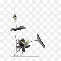 莲子剪莲-空若网 莲子剪莲-空若网