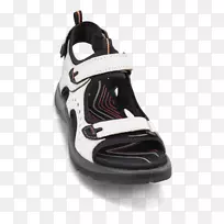 运动鞋交叉训练运动服装步行动画-空若网 运动鞋交叉训练运动服装步行动画-空若网