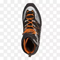 Ь����ѵ�����-������