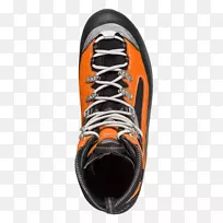 Ь����ѵ�����-������