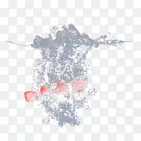 电脑壁纸-水中水果-空若网 电脑壁纸-水中水果-空若网