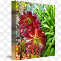 花卉设计艺术绘画画布版画-空若网 花卉设计艺术绘画画布版画-空若网