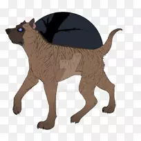 猫科狗爪动物-猫-空若网 猫科狗爪动物-猫-空若网