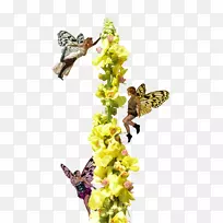 ����-������