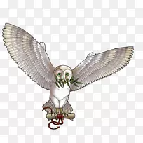 猫头鹰-空若网 猫头鹰-空若网