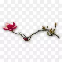 梅花海报-莲花枝-空若网 梅花海报-莲花枝-空若网