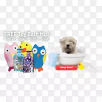 养狗鼻子塑料小狗-空若网 养狗鼻子塑料小狗-空若网