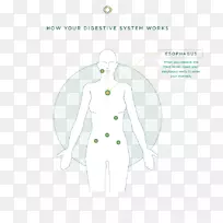 ��������.���-������