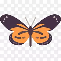 帝王蝴蝶刷子蝴蝶昆虫蝴蝶图标-空若网 帝王蝴蝶刷子蝴蝶昆虫蝴蝶图标-空若网