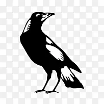 科林伍德足球俱乐部澳大利亚足球联赛卡尔顿足球俱乐部帕克赛德足球俱乐部澳大利亚规则足球-安扎克日-空若网 科林伍德足球俱乐部澳大利亚足球联赛卡尔顿足球俱乐部帕克赛德足球俱乐部澳大利亚规则足球-安扎克日-空若网