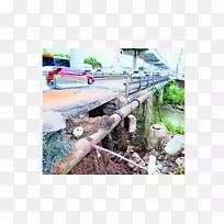 公用事业树-土壤-树-空若网 公用事业树-土壤-树-空若网