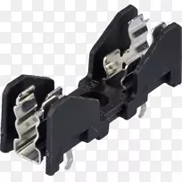 ��������Schurter���Ӹ�����������-id ul adha 2-������