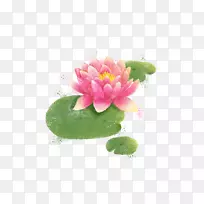 Ë®²Ê»²åͼ-Á«»¨-¿ÕÈôÍø Ë®²Ê»²åͼ-Á«»¨-¿ÕÈôÍø