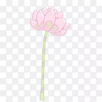 开花植物切花植物茎瓣粉红色莲花模型-空若网 开花植物切花植物茎瓣粉红色莲花模型-空若网