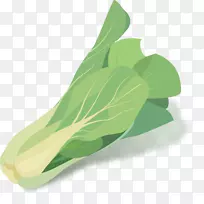 °×²ËÂÌÉ«Êß²Ë.ÊÖ»æÊß²ËÔØÌå-¿ÕÈôÍø °×²ËÂÌÉ«Êß²Ë.ÊÖ»æÊß²ËÔØÌå-¿ÕÈôÍø