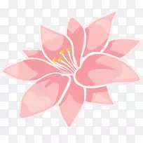 花卉设计切花-空若网 花卉设计切花-空若网