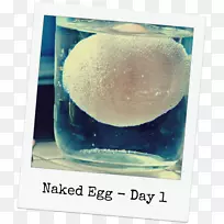 Ô×°ÉãÓ°Ë®ÓлúÌå²£Á§-Ë®-¿ÕÈôÍø Ô×°ÉãÓ°Ë®ÓлúÌå²£Á§-Ë®-¿ÕÈôÍø