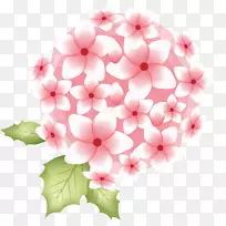 Krishna Janmashtami�����ֽӡ�Ƚ�-����ϣ��-������