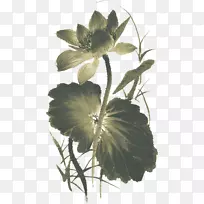 水墨画画莲花花鸟画莲花淘宝材质-空若网 水墨画画莲花花鸟画莲花淘宝材质-空若网