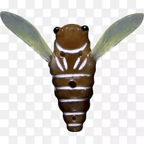 ����������۳�2M-����-������