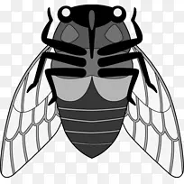 蜜蜂昆虫传粉器剪贴画-蜜蜂-空若网 蜜蜂昆虫传粉器剪贴画-蜜蜂-空若网