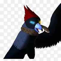 喙鸟-空若网 喙鸟-空若网