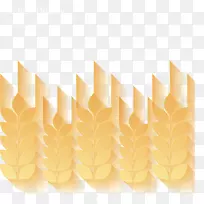 设计师-创意设计材料小麦-空若网 设计师-创意设计材料小麦-空若网