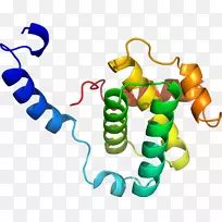 人体首饰有机体线剪贴画线-空若网 人体首饰有机体线剪贴画线-空若网
